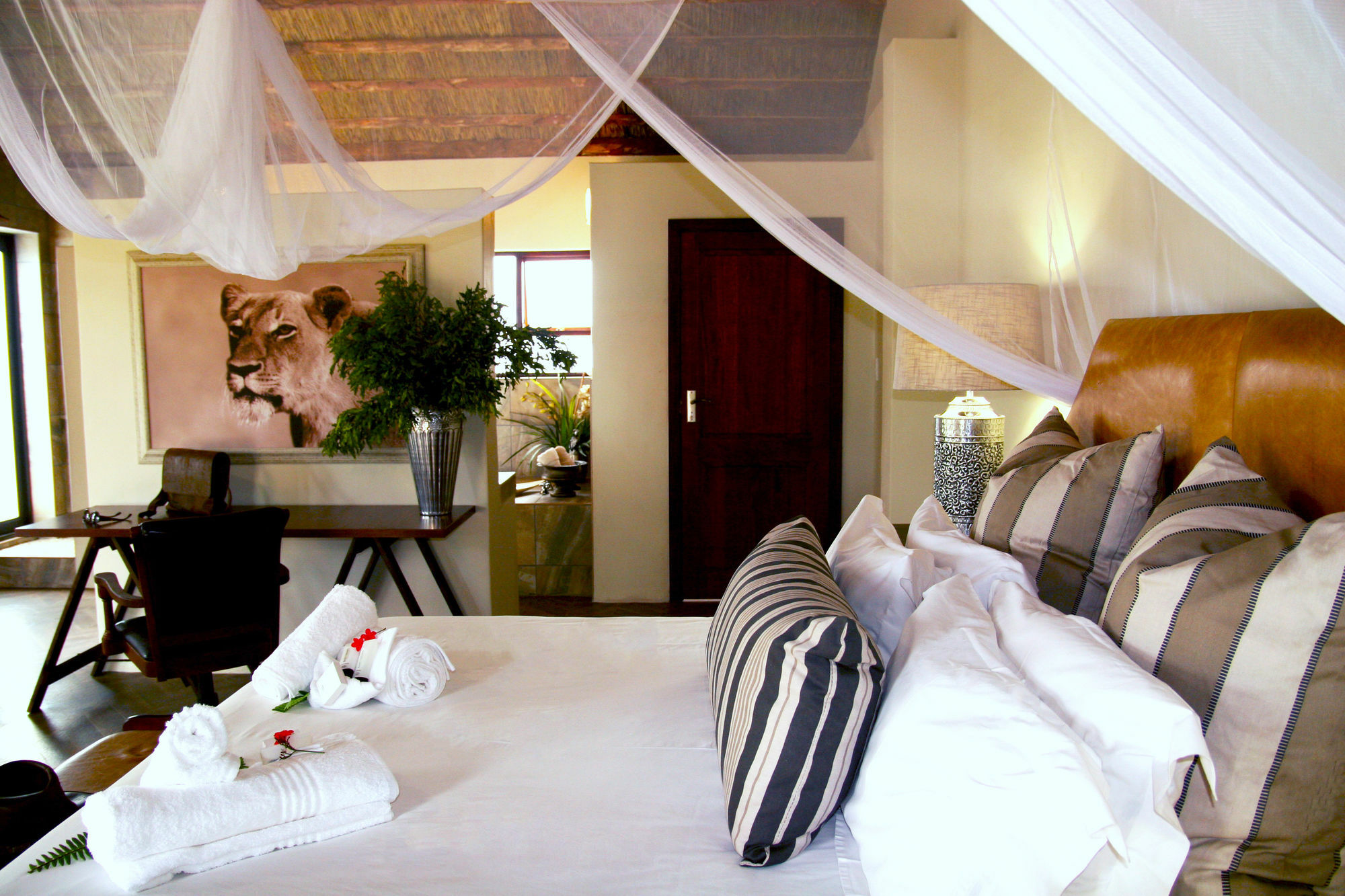 Becks Safari Lodge Hoedspruit Exterior foto